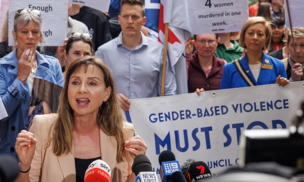 Thumbnail for Royal Commission call heard after four more SA women die