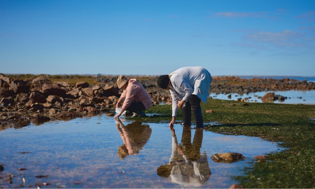 Thumbnail for SA’s regional Aboriginal artists on show in Saltbush Country