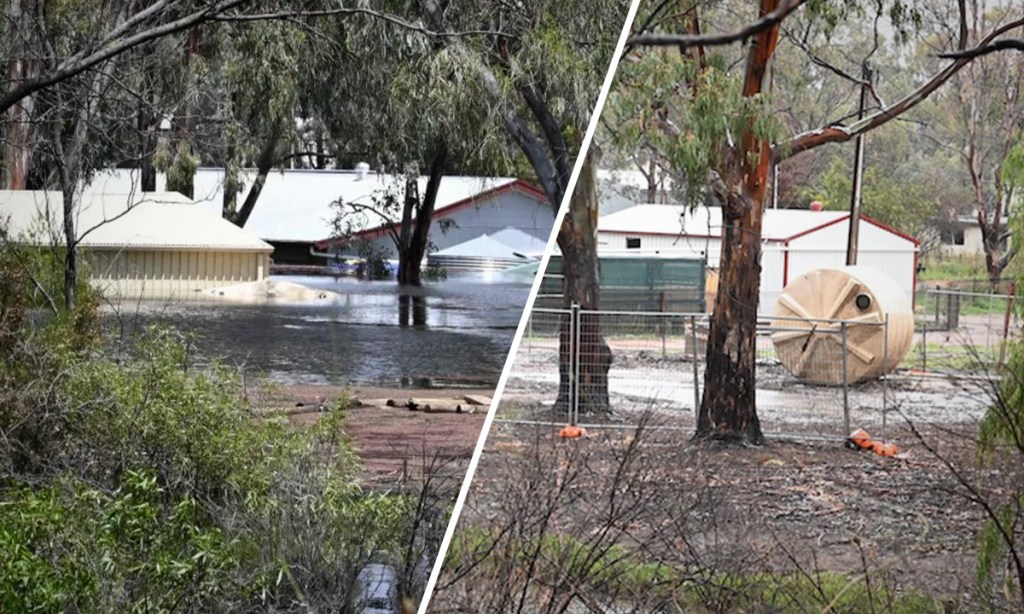 Thumbnail for No quick recovery after River Murray flood and mud