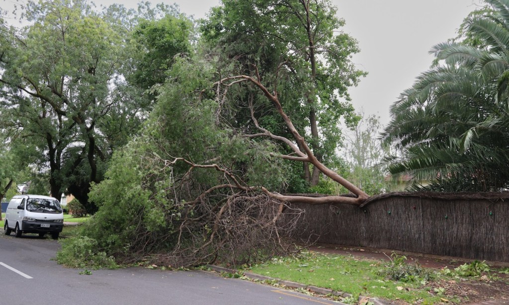 Thumbnail for Power outages and flooding continue to shut schools