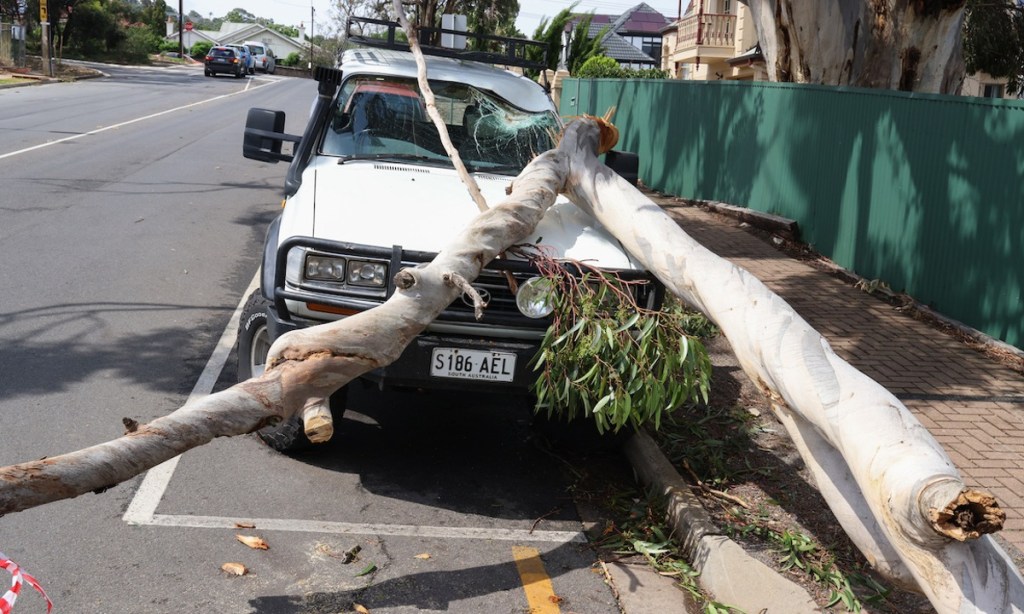 Thumbnail for Tens of thousands blacked out as storm brings down trees, closes schools