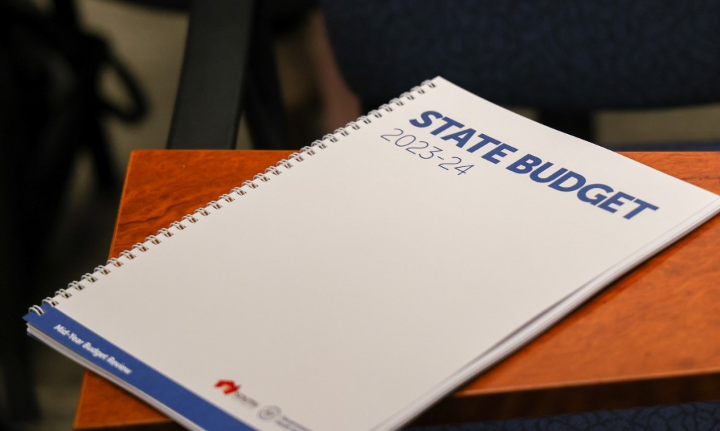 Thumbnail for EV subsidy axed in SA budget update