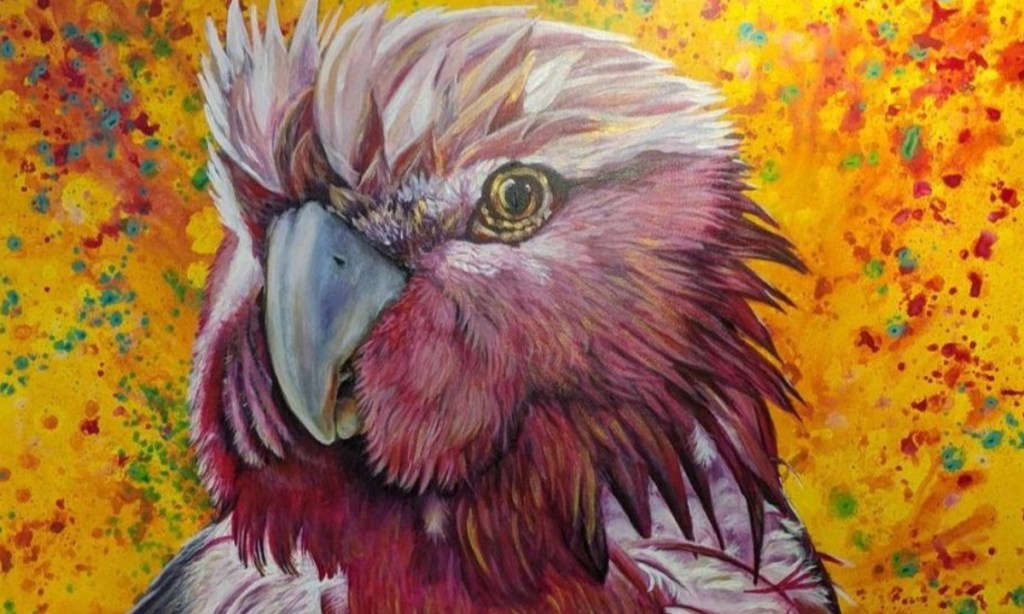 Thumbnail for Where’s Wally the Galah?