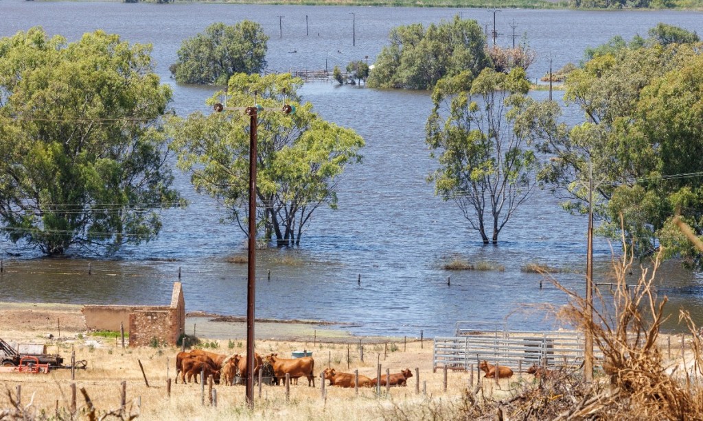 Thumbnail for Fence fixers lend a hand at flood-hit SA town