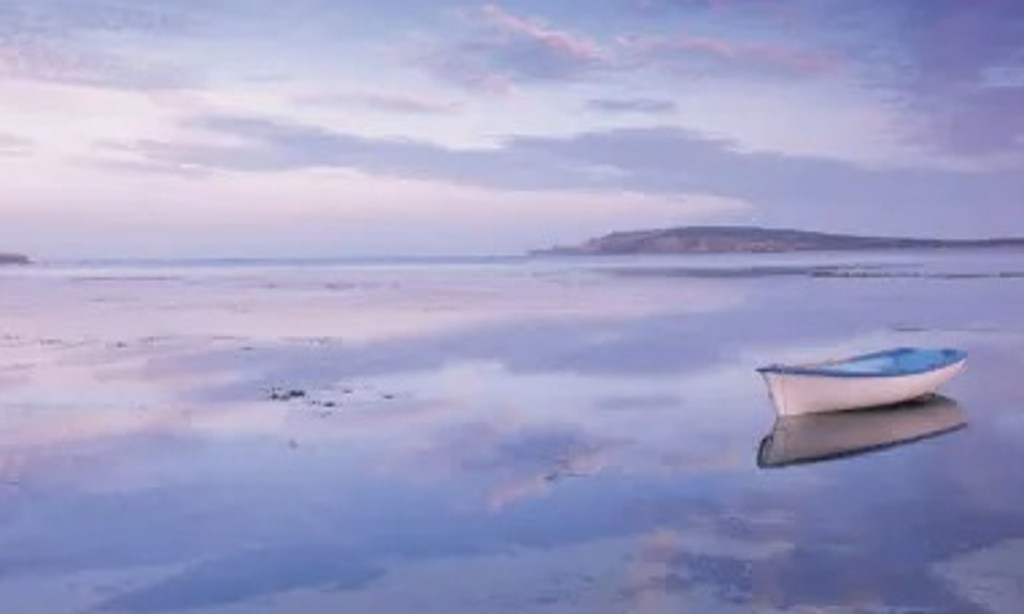 A surfer was bitten at Elliston.