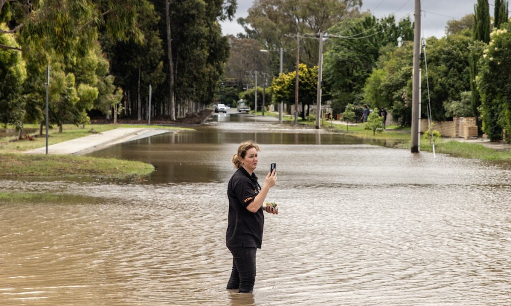Thumbnail for Record January rain for Victoria