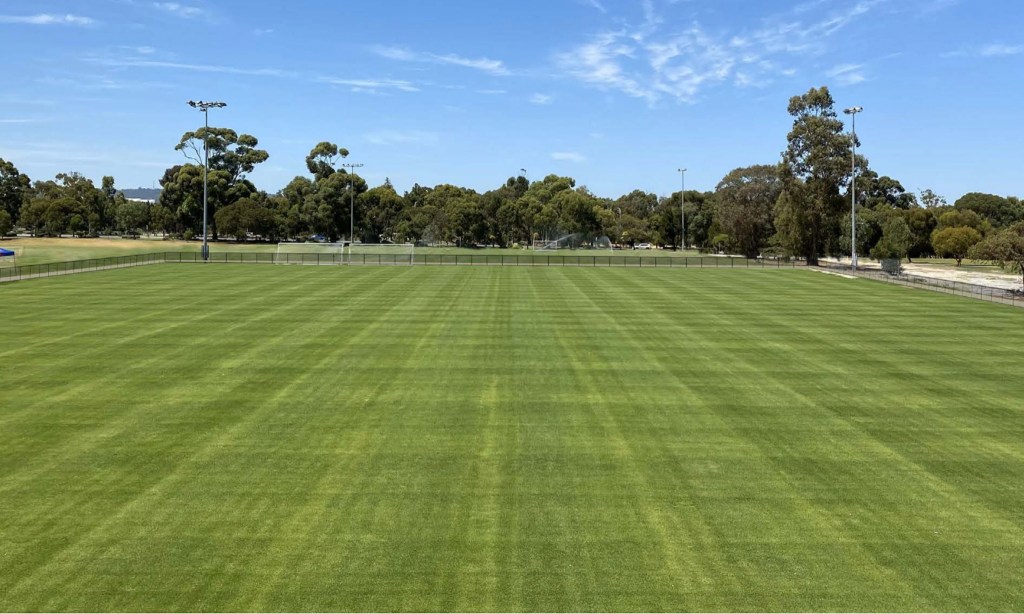 Thumbnail for Park land pitch fence bid under review