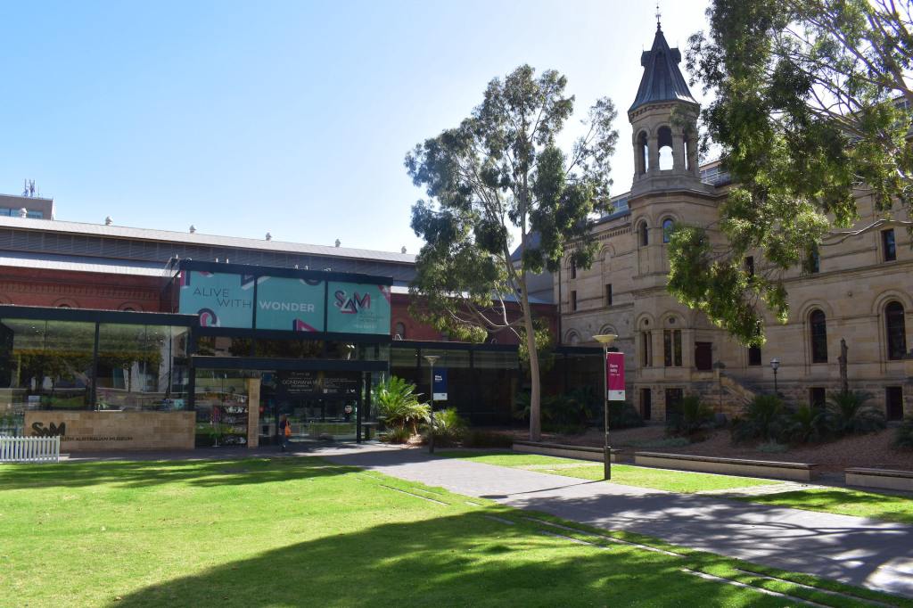 The South Australian Museum. Photo: Charlie Gilchrist/InDaily