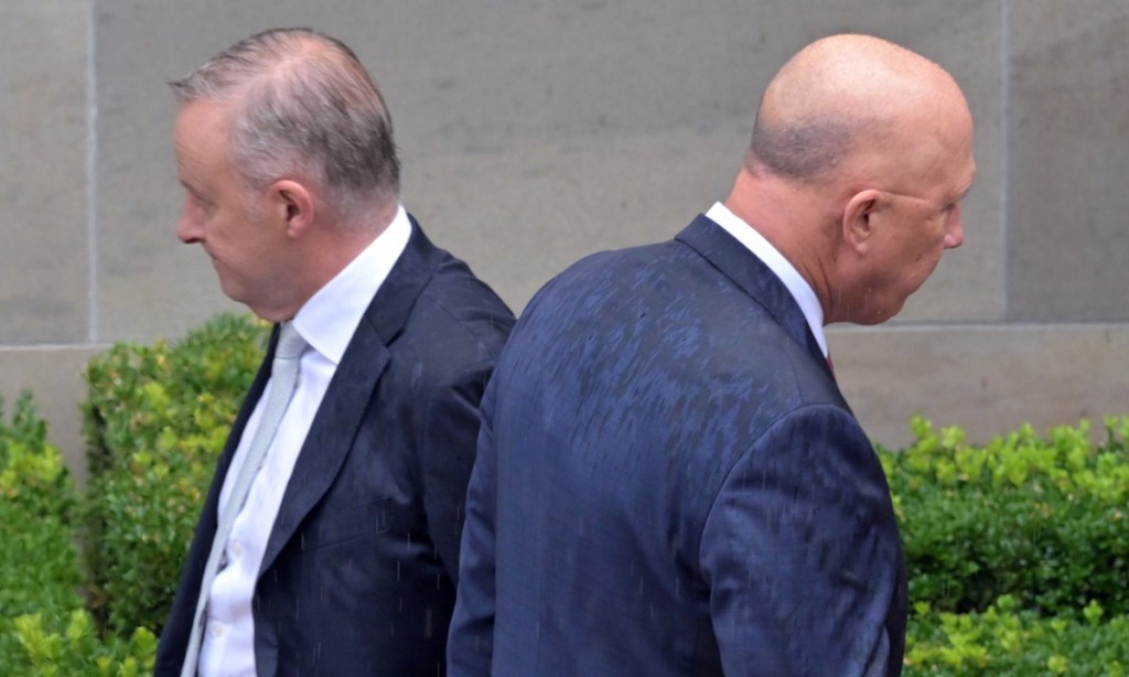 Prime Minister Anthony Albanese and Opposition Leader Peter Dutton. Photo: Mick Tsikas/AAP