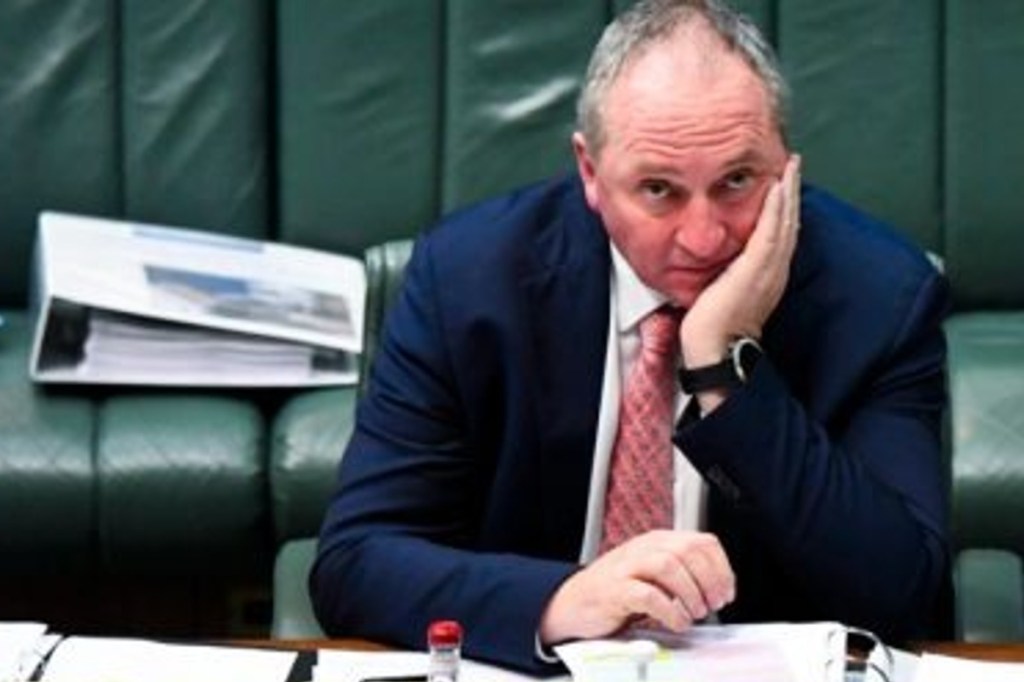 Thumbnail for Barnaby Joyce asked to take leave after he ’embarrassed himself’