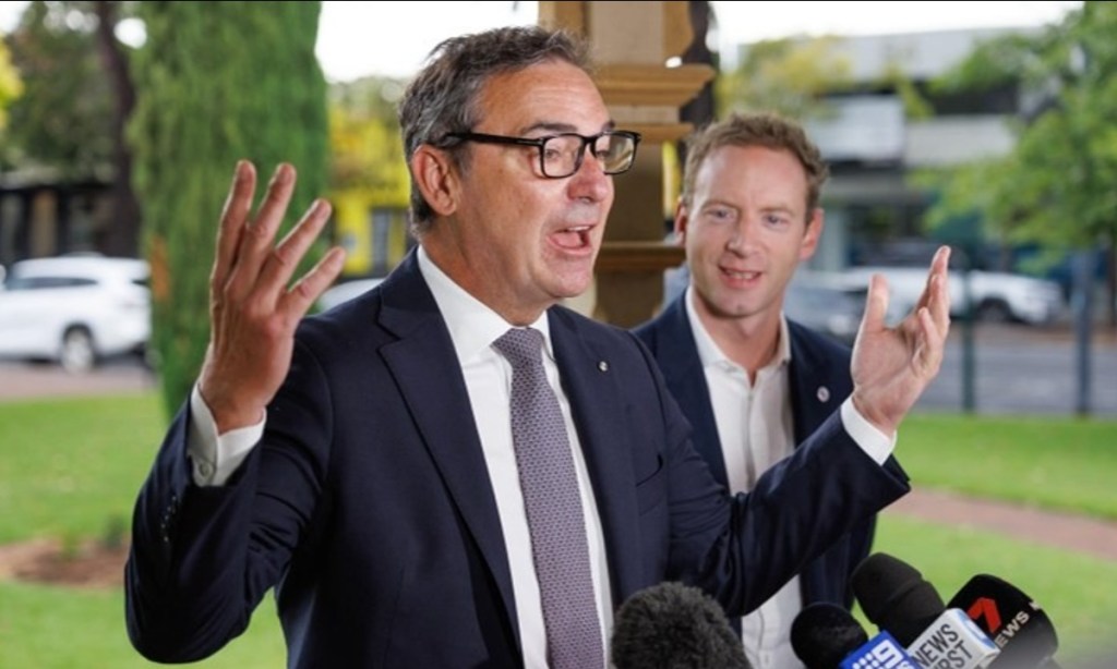 Thumbnail for ‘Absolutely not’: Steven Marshall exits parliament without turning up