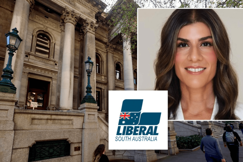 Thumbnail for Labor escalates attack on Liberal candidate over failed business