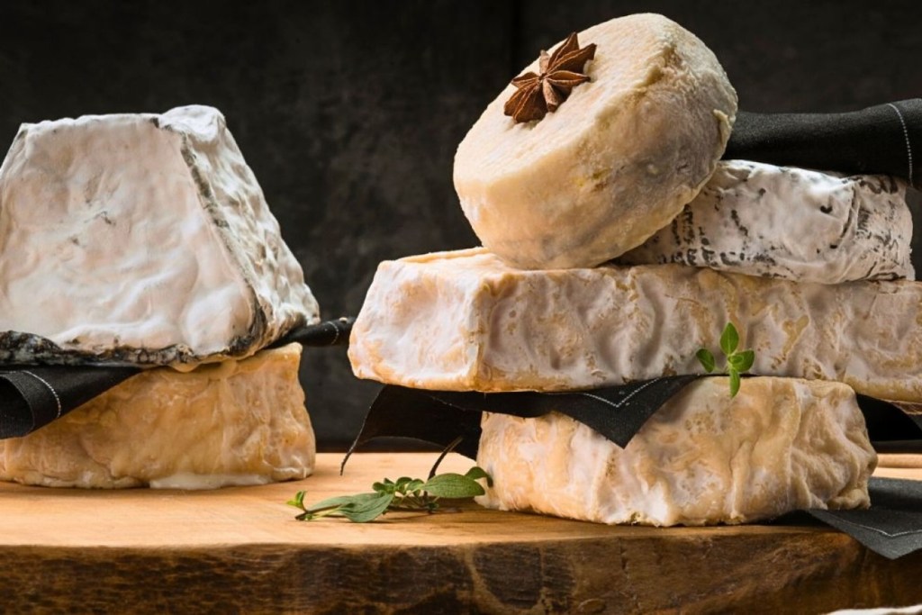 Thumbnail for Vive le difference! Weird fungus holds the key to averting world cheese crisis