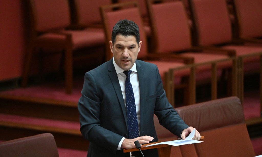 Thumbnail for Antic declares left wing ‘pandemic’ as SA Liberals’ shift to right confirmed