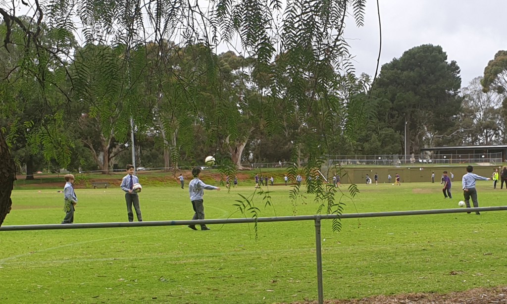 King Rodney Park / Ityamai-itpina (Park 15). This picture: Adelaide City Council's Park Land Authority
