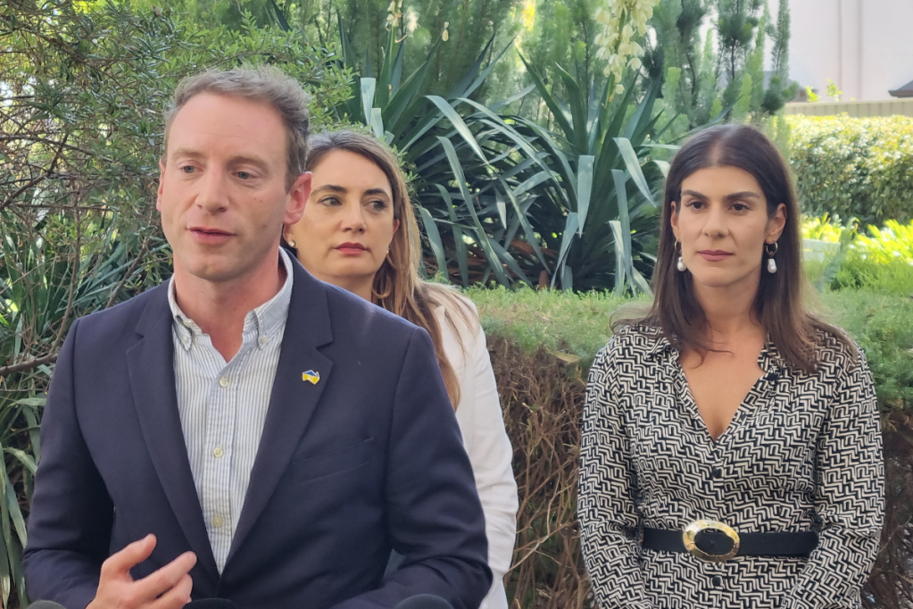 Thumbnail for ‘She’s done nothing wrong’: Liberal Party stands by Finizio in bitter Dunstan contest