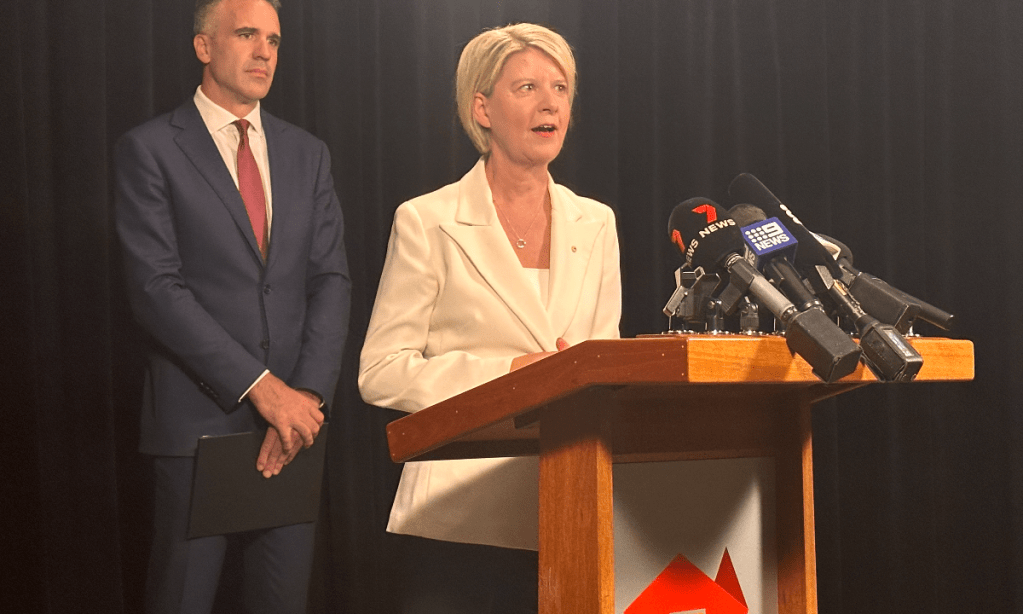 Thumbnail for Ex-senator to lead South Australia’s domestic violence inquiry