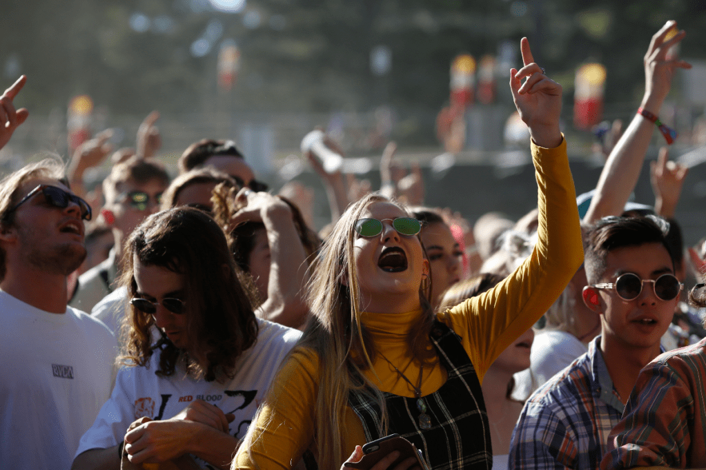 More than 25 music festivals across Australia have been cancelled since 2022. Photo: AAP/Regi Varghese