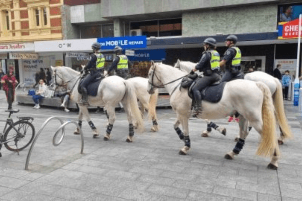 Thumbnail for Police to step up Rundle Mall patrols over crime fears