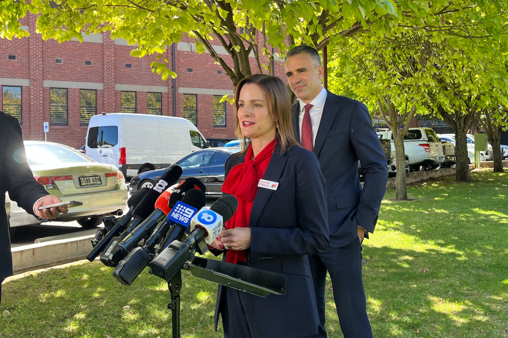 Thumbnail for Labor wins Dunstan by-election
