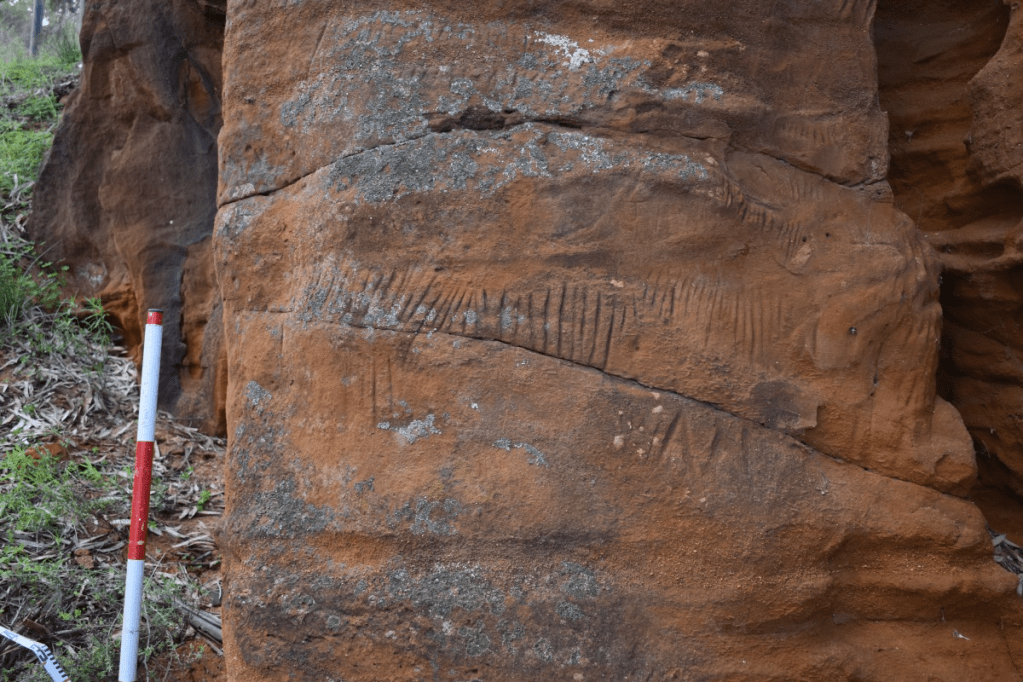 Thumbnail for Exploring the Murray River Gorge rock art sites