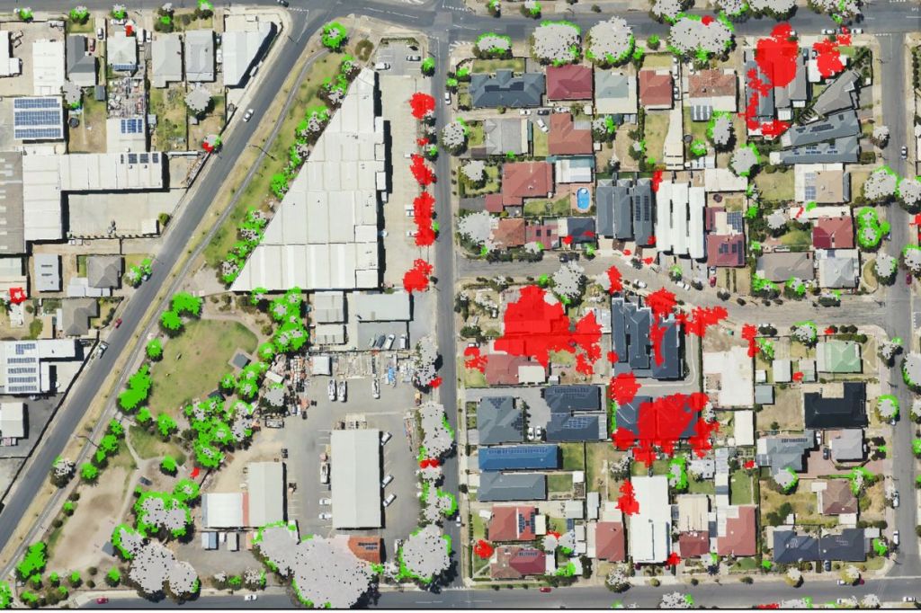 Thumbnail for Growing calls to slow Adelaide tree axing