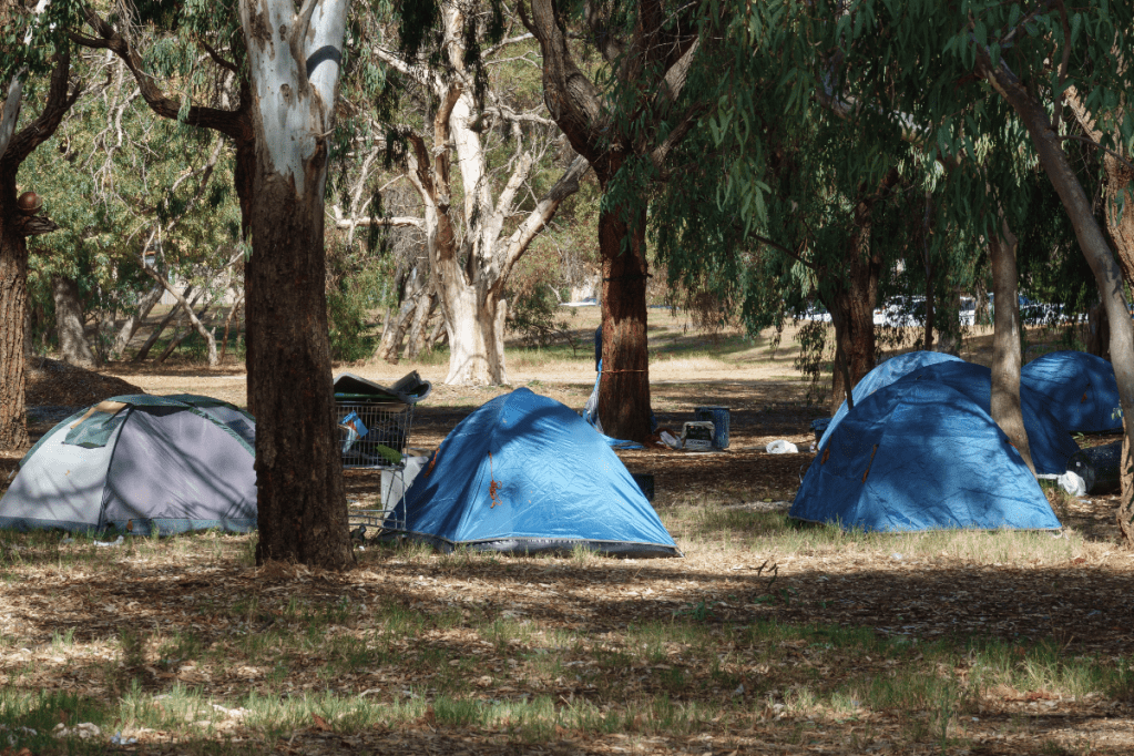 Homeless camp at south park lands. Photo: Tony Lewis/InDaily