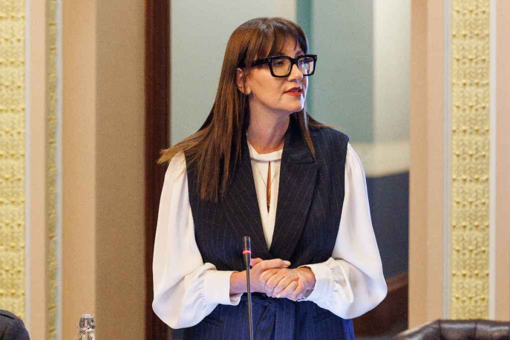 Councillor Mary Couros lost her bid to guarantee AEDA’s $500,000 commercial events and sponsorship fund will be reinstated in Q1 of the 2024/25 financial year.  Photo: 
Tony Lewis/InDaily