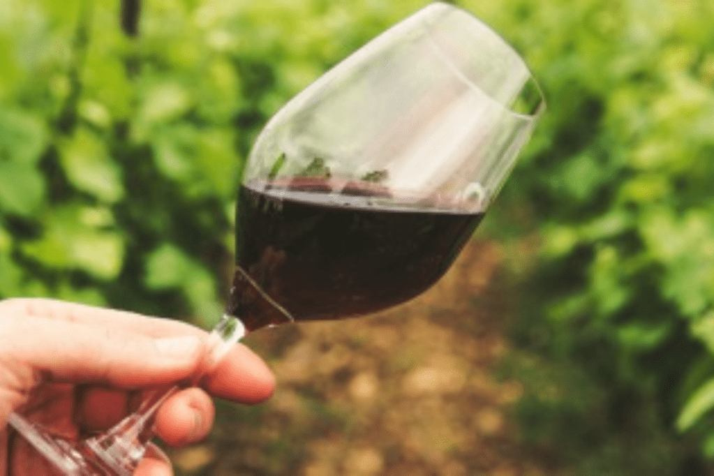 Thumbnail for World wine demands drops to 27-year low
