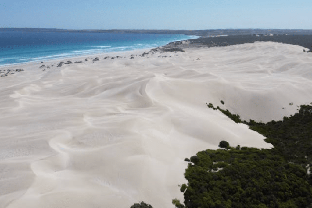 Thumbnail for South Australia’s changing coastline sounds warning to nation