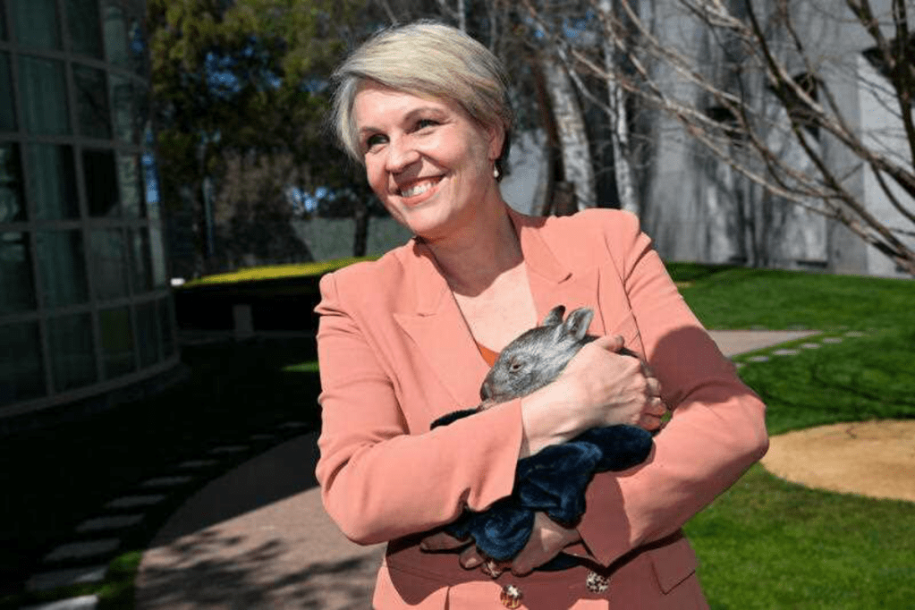 Thumbnail for New environment watchdog gets mixed reaction