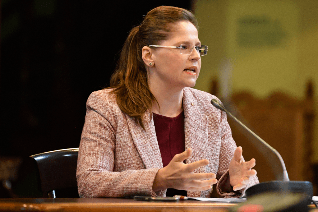 Australian Nursing and Midwifery Federation state branch CEO Elizabeth Dabars is calling for better incentives to get regional healthcare workers. Photo: David Mariuz/AAP