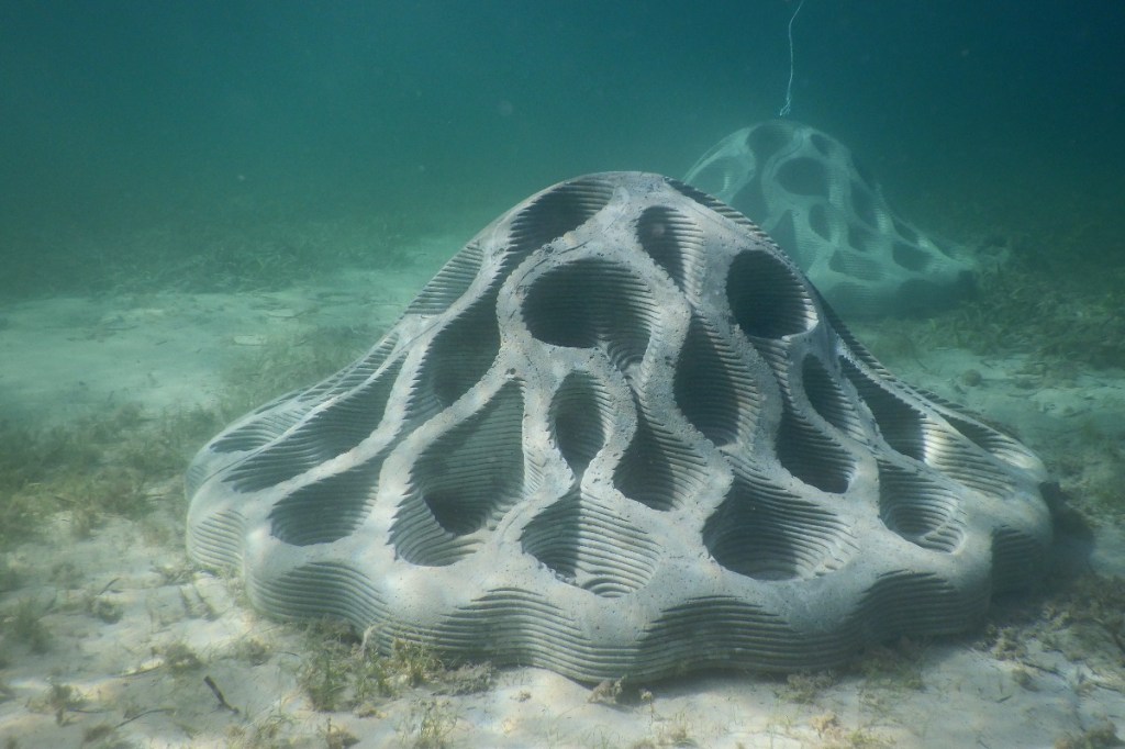 One of the 3D printed domes. Photo supplied