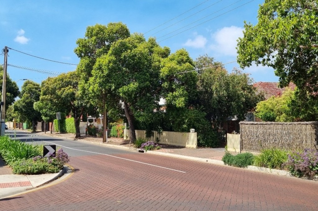 Thumbnail for Govt strengthens urban tree protections