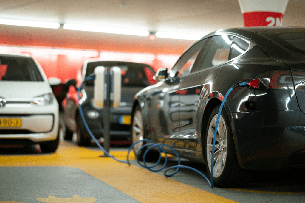 Thumbnail for Call for return of EV subsidy amid SA record car sales