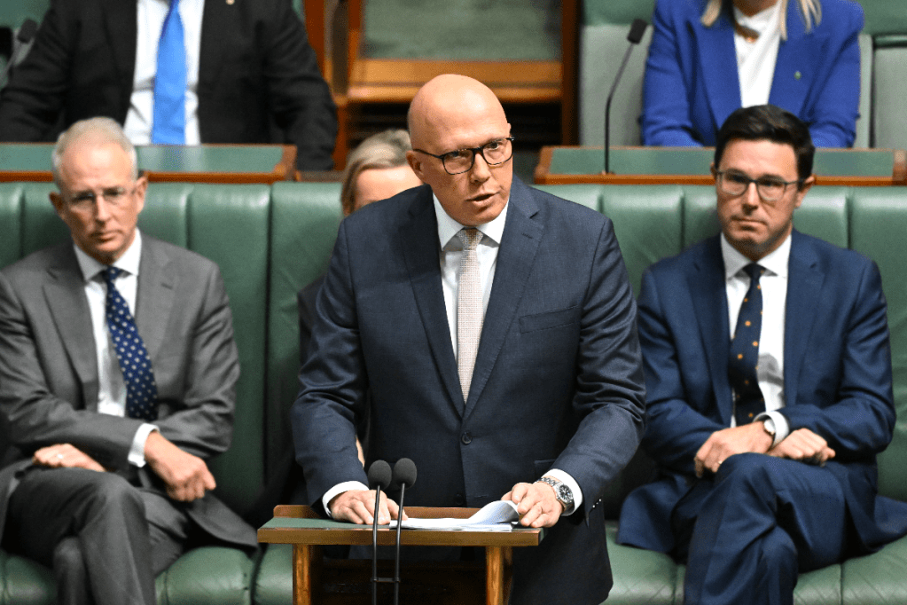 Thumbnail for Dutton comes out swinging but devil will be in the detail