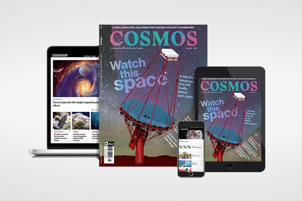 Cosmos was first published in 2005 and was acquired by RiAus in 2018. They've published over 100 magazines. Photo: Cosmos Magazine