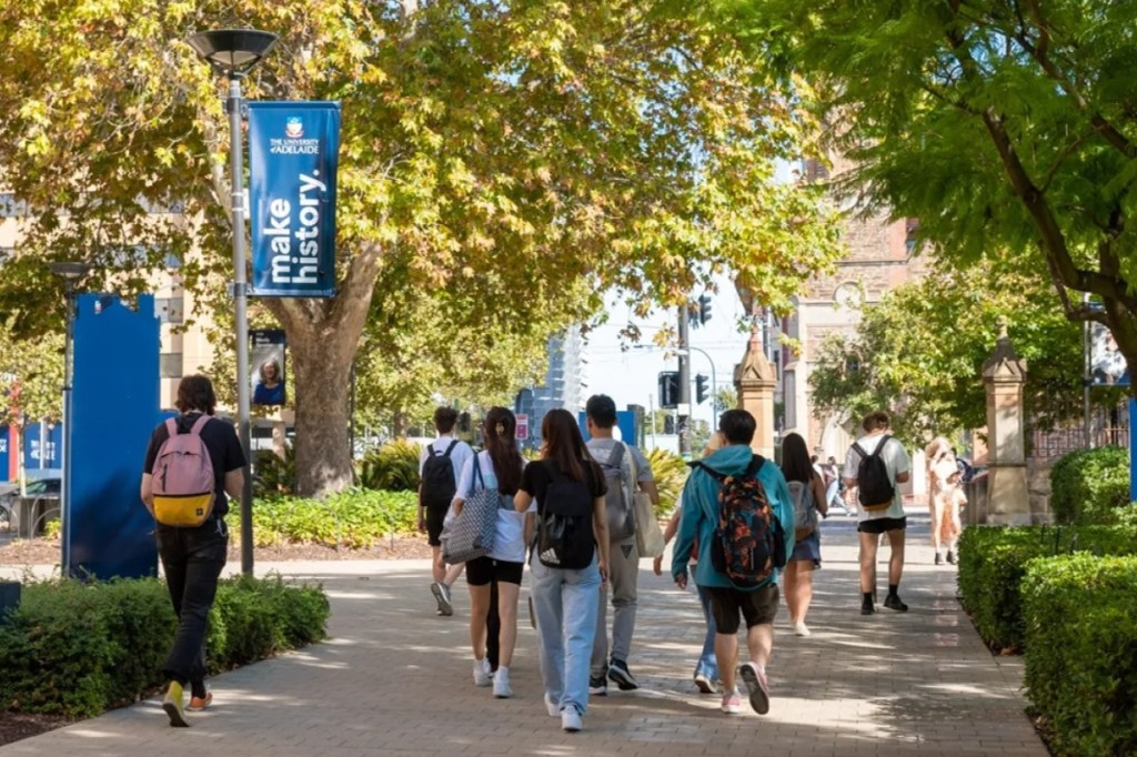 Thumbnail for Ups and downs in latest SA university rankings