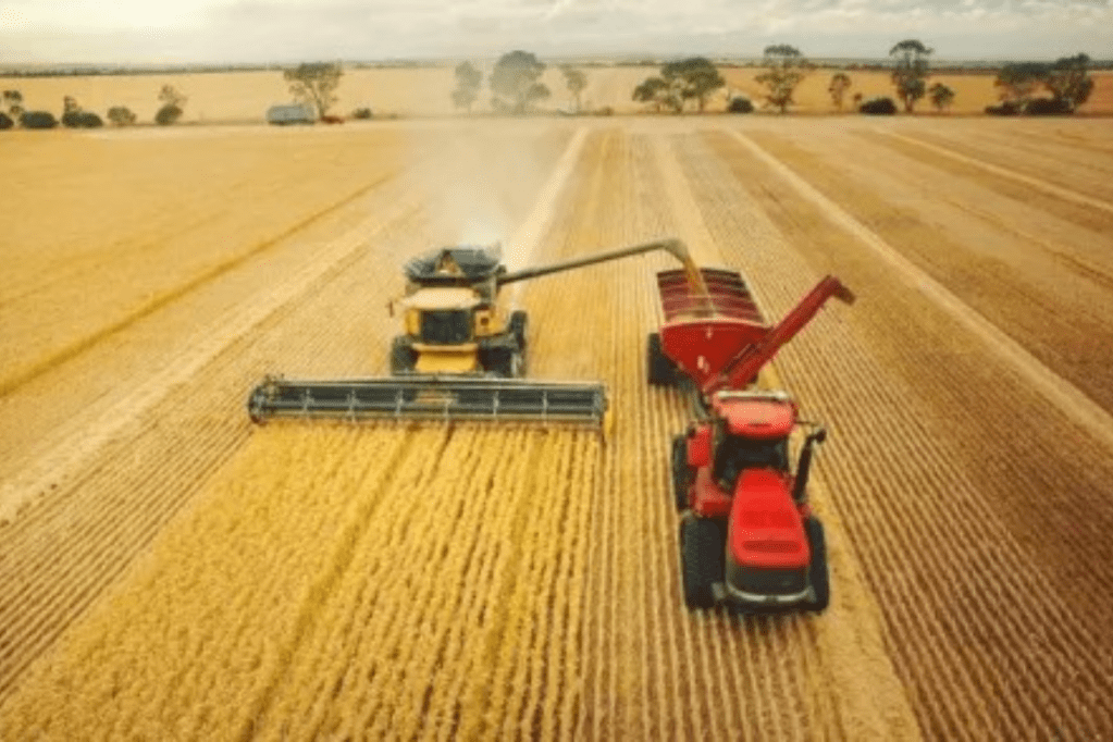 Thumbnail for Rich outlook for national harvest