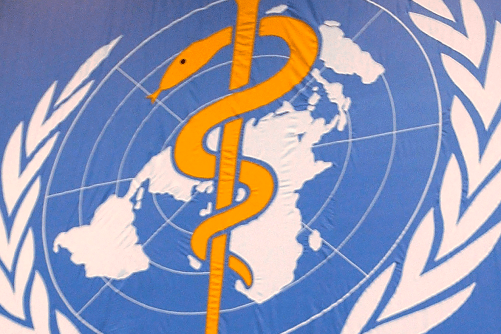 The World Health Organisation says lab tests confirmed a Mexican man died of an avian flu subtype. Photo: AAP