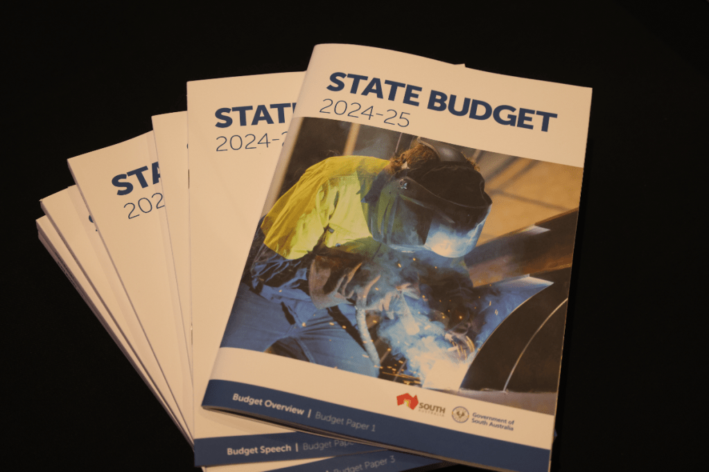 Thumbnail for State Budget 2024-25: Investing in the basics