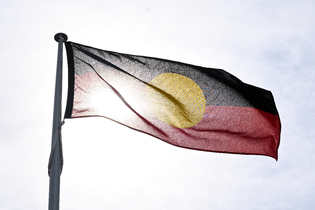 Thumbnail for Name of new peak body for Indigenous children and families revealed