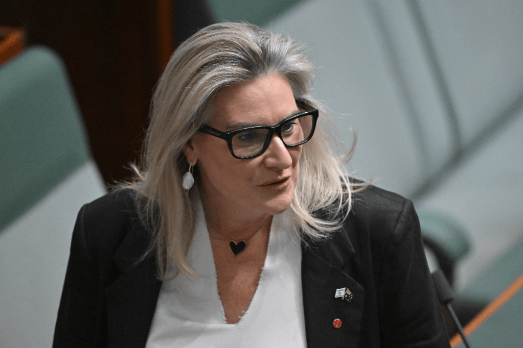Thumbnail for Senator attacks push for menopause leave law