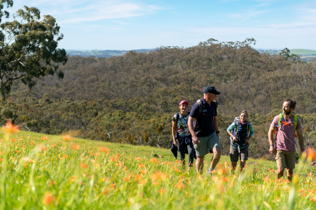 Thumbnail for Wine and wilderness provides a perfect pairing in the Clare Valley