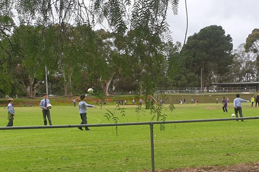 Thumbnail for ‘Private school rates’ claim over park lands sport leases