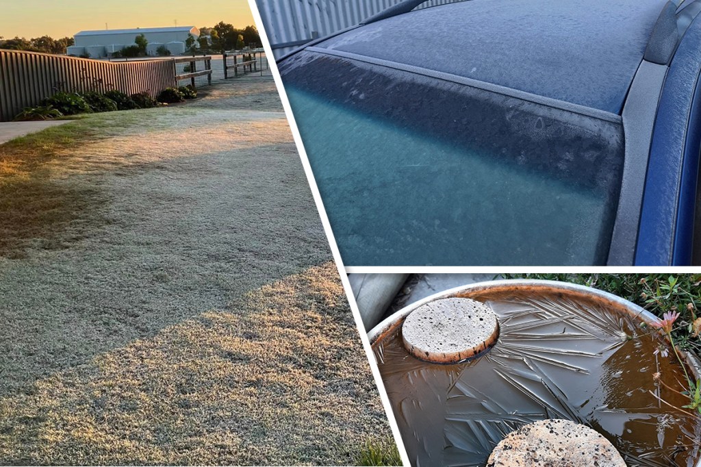 A frosty lawn, icy windscreen and frozen birdbath on Wednesday morning. Left photo: JocelynTrevor Keller. Top right photo: Katrina Jamieson. Bottom right photo: Janet Roenfeldt. All via Ten News First Adelaide Weather Watchers Facebook