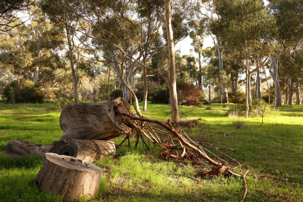 Thumbnail for Government says it will keep cap on landscape levy increases