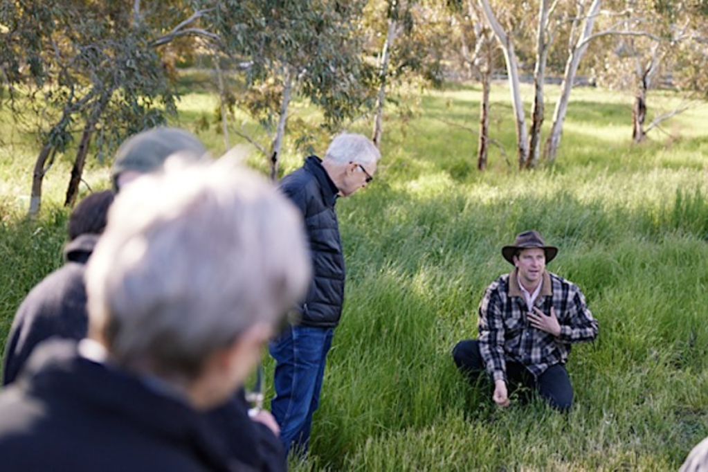 Thumbnail for Nurturing Nature: Howard Vineyard’s Annual Planting Day