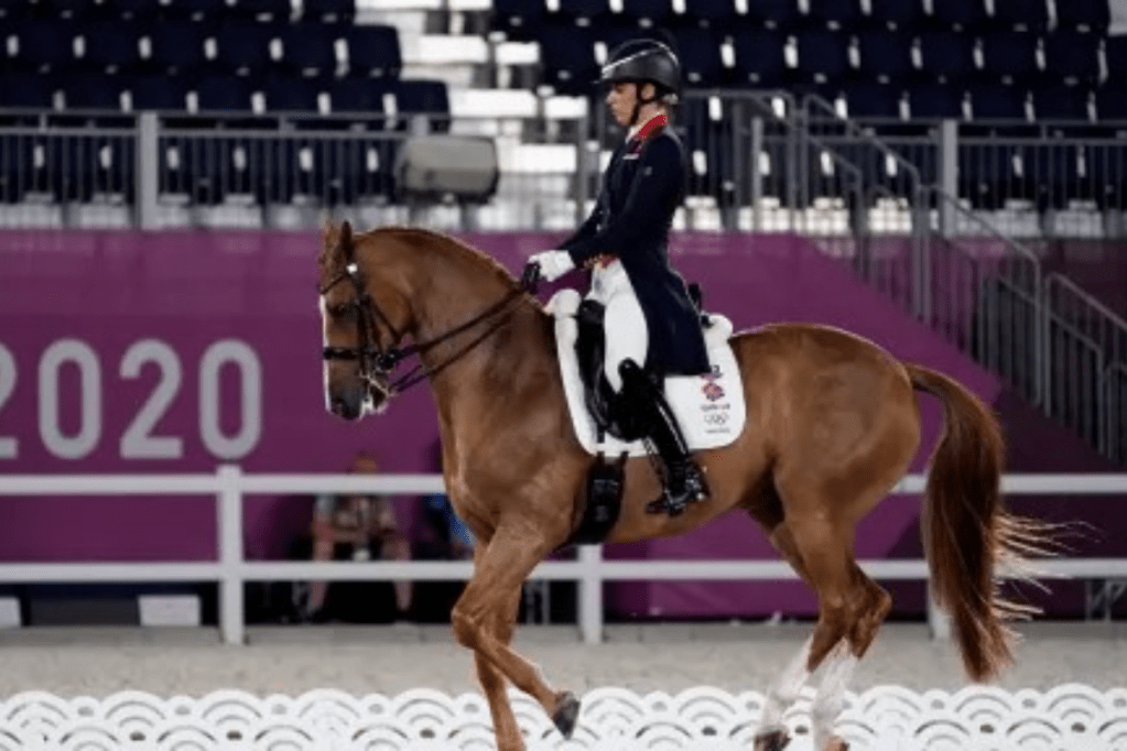 Thumbnail for Olympic champ pulls out over horse whipping video