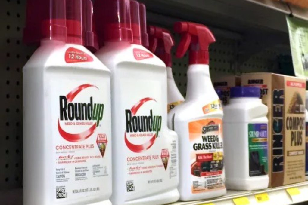 Thumbnail for Popular weed killer doesn’t cause cancer, says court